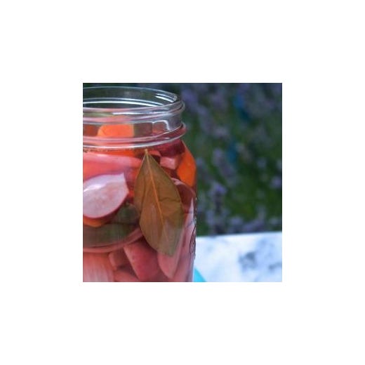 Pickled Mexican Mixed Vegetables Pickled Mexican Mixed Vegetables
